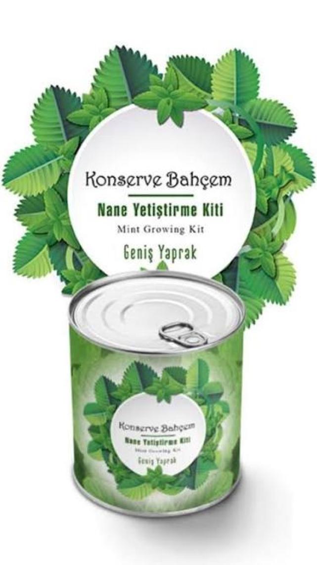 Varbeya Konserve Bahçem Nane Yetiştirme Kiti
