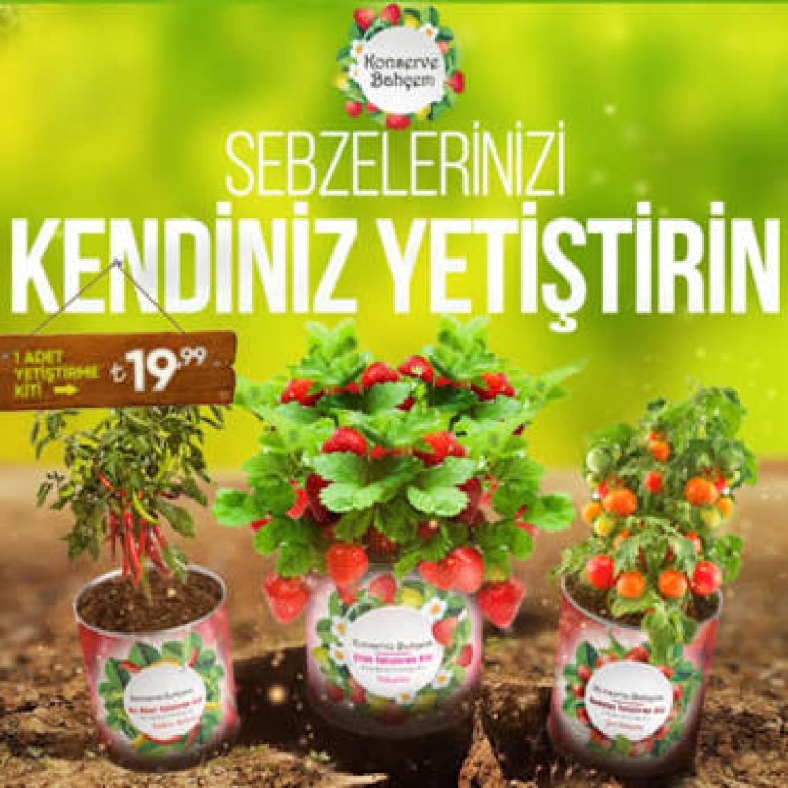 Varbeya Konserve Bahçem Nane Yetiştirme Kiti
