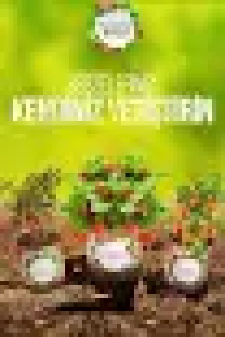 Konserve Bahçem Acı Biber Yetiştirme Kiti
