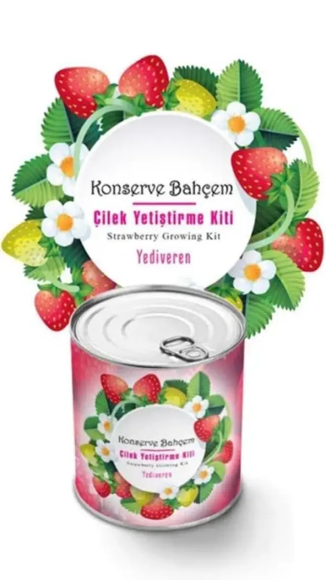 Konserve Bahçem Çilek Yetiştirme Kiti