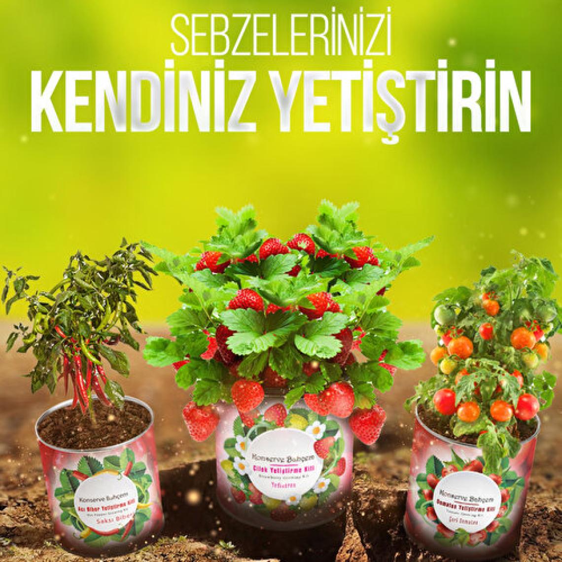 Konserve Bahçem Fesleğen Yetiştirme Kiti