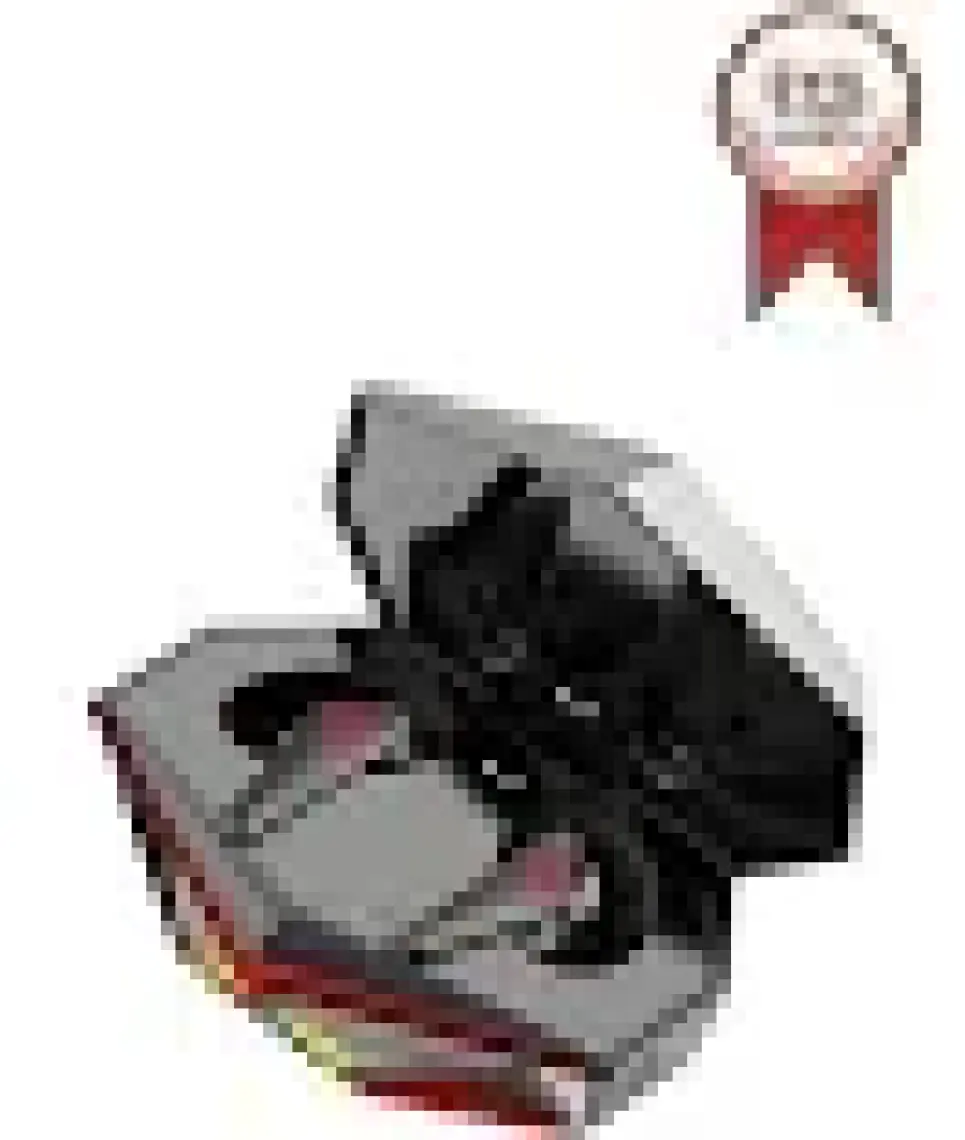 Torima K-98 LED Işıklı Kulakiçi Kablosuz Bluetooth 5.0 Metal Kasa Gaming Kulaklık