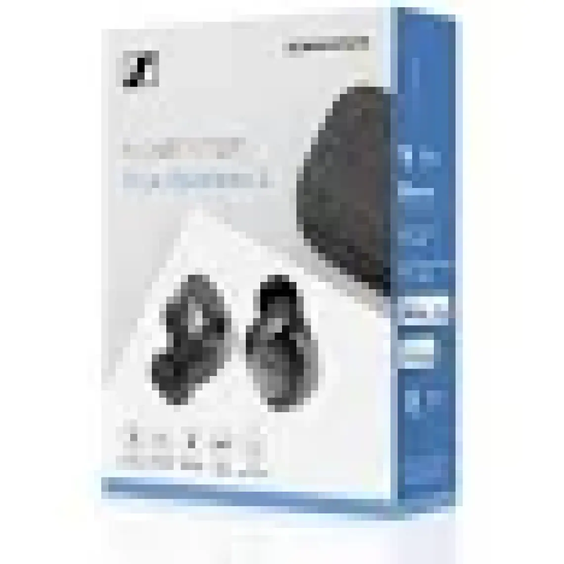 Sennheiser Momentum True Wireless 3 Kulak Içi Kulaklık, Siyah