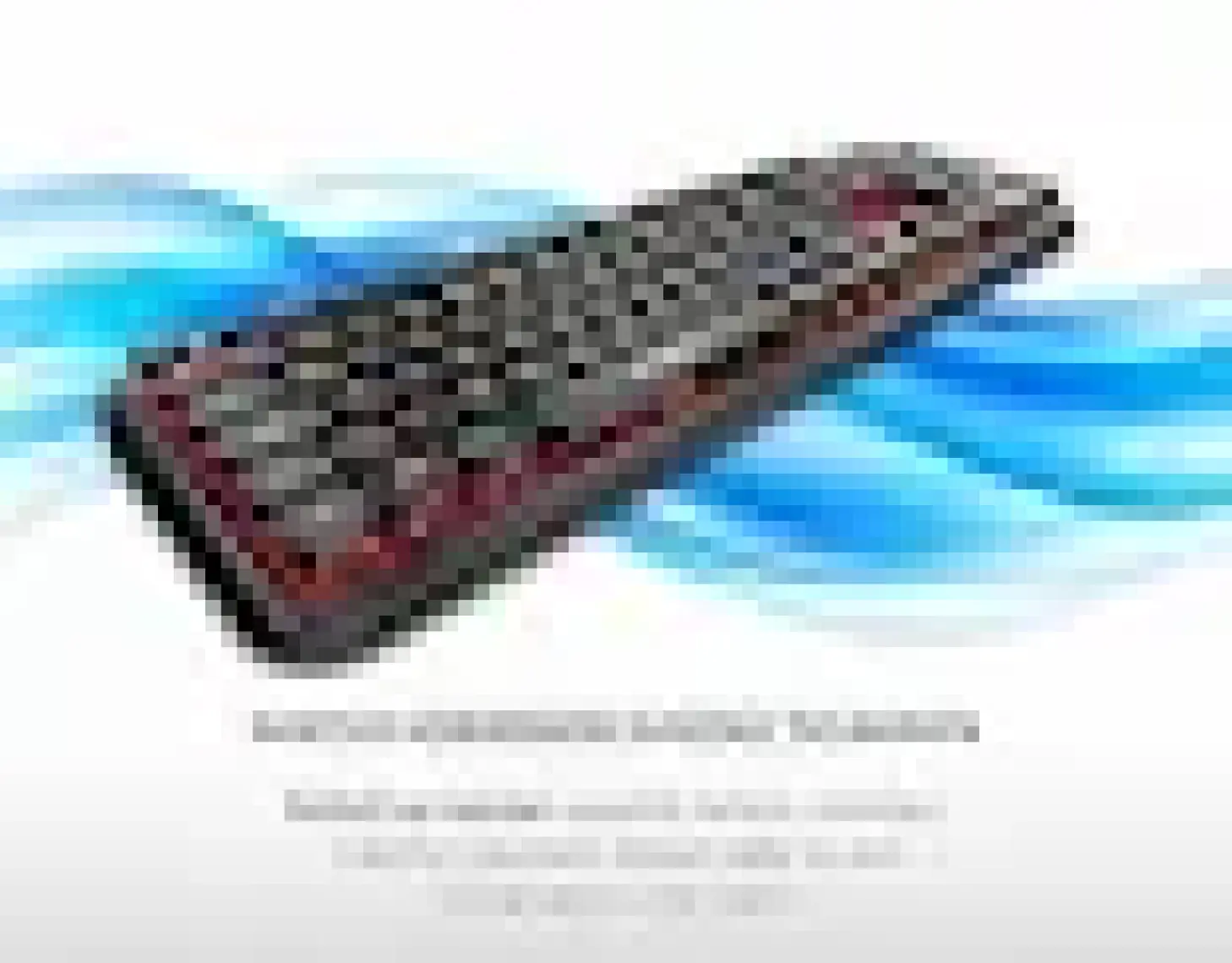 Everest Round KM-6282 Siyah/Kırmızı Kablosuz Q Multimedia Klavye + Mouse Set