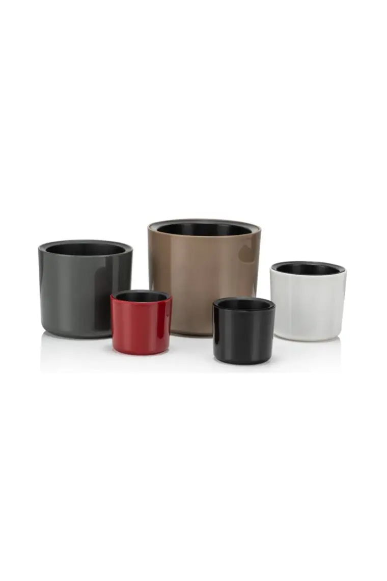 Poliwork Mimoza 11 cm Saksı 0,8 lt