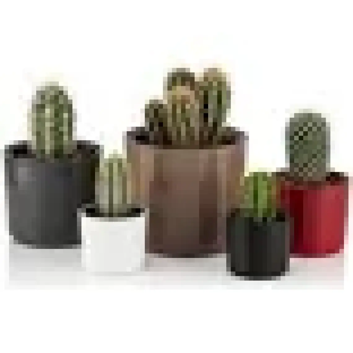 Poliwork Mimoza 11 cm Saksı 0,8 lt