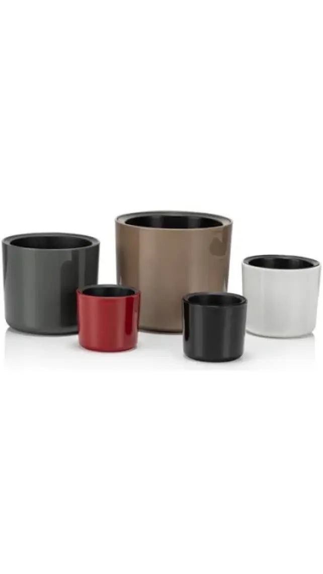 Poliwork Mimoza 7 cm Saksı 0,2 lt