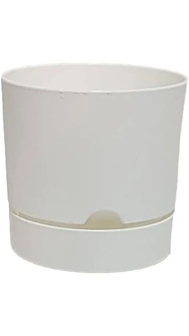 Poliwork Begonya 18 cm Tabaklı Saksı 3,3 lt