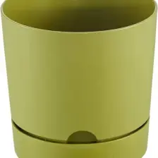 Poliwork Begonya 18 cm Tabaklı Saksı 3,3 lt
