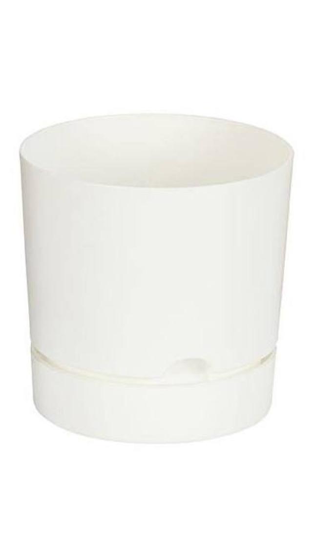 Poliwork Begonya 9 cm Tabaklı Saksı 0,5 lt