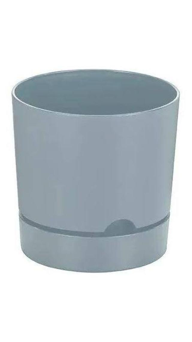 Poliwork Begonya 9 cm Tabaklı Saksı 0,5 lt