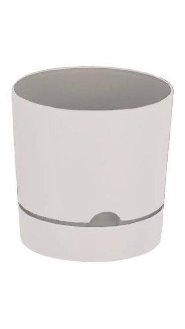 Poliwork Begonya 9 cm Tabaklı Saksı 0,5 lt