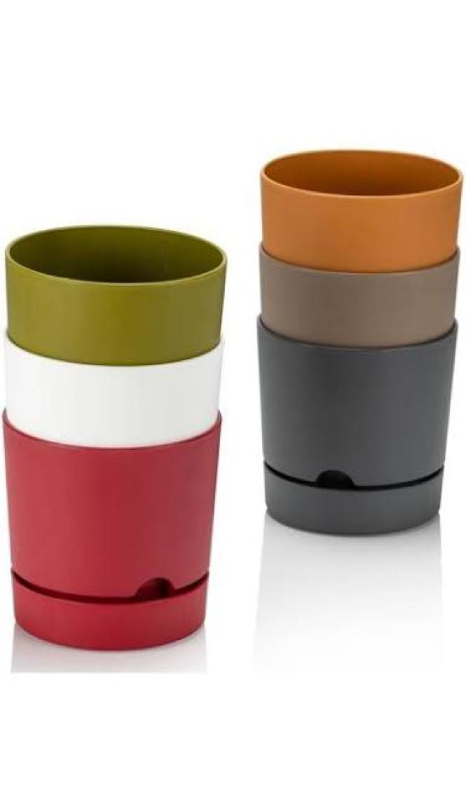 Poliwork Begonya 9 cm Tabaklı Saksı 0,5 lt