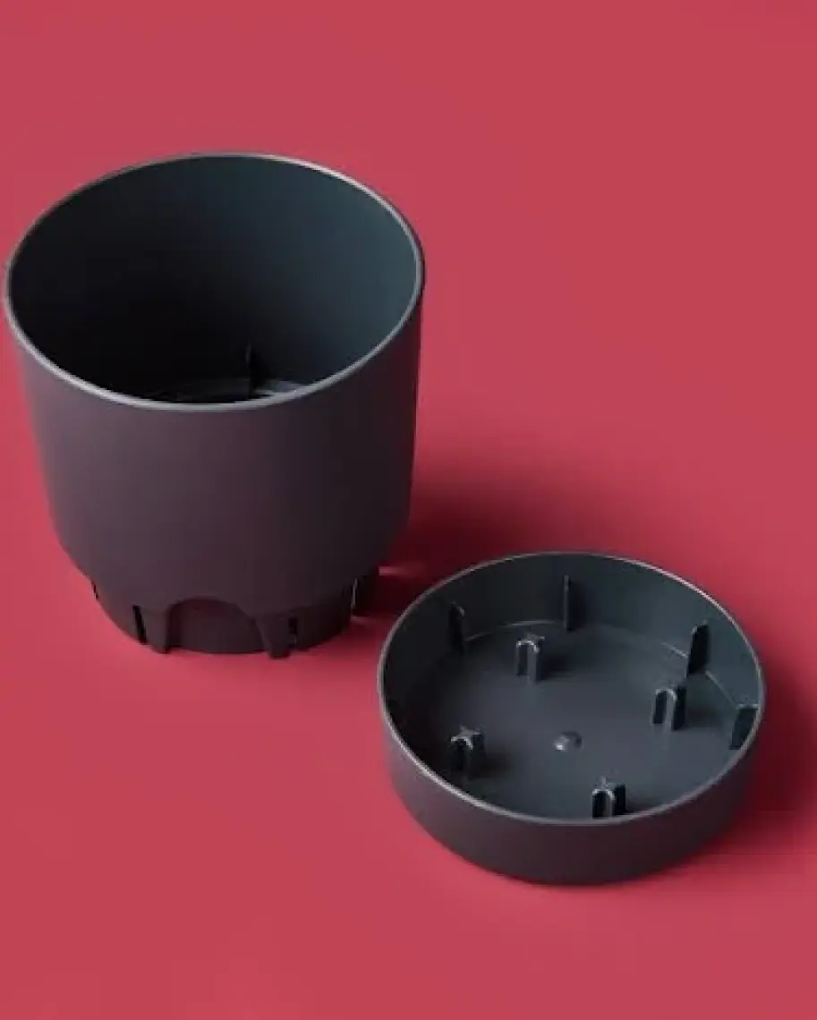Poliwork Begonya 12 cm Tabaklı Saksı 1 lt