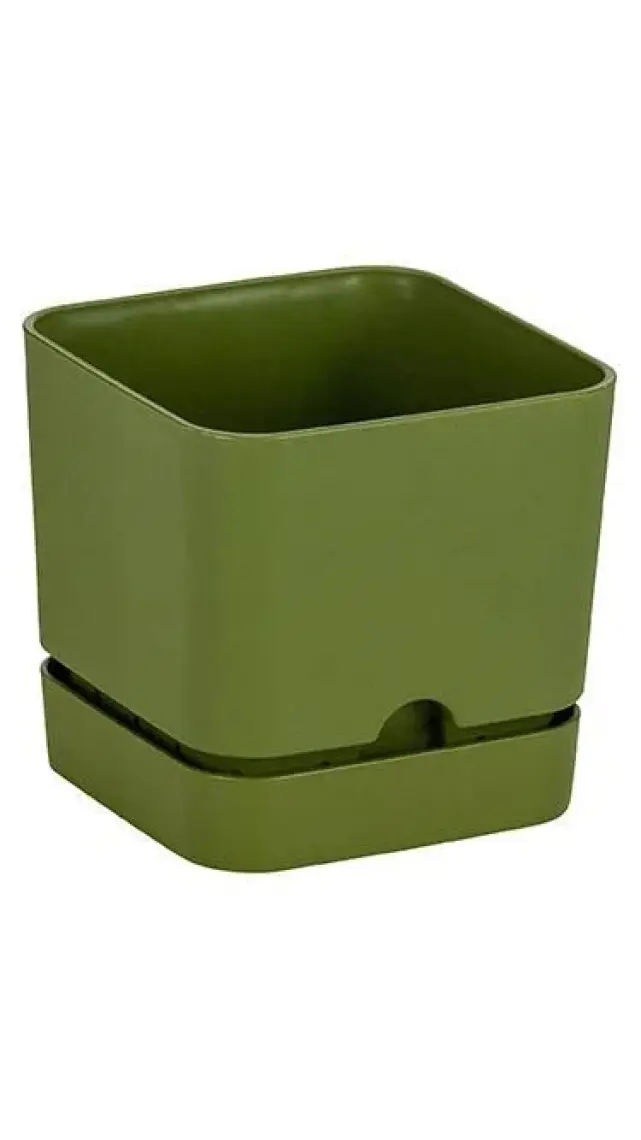 Poliwork Begonya Kare 13 cm Tabaklı Saksı 1,5 lt