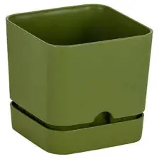Poliwork Begonya Kare 13 cm Tabaklı Saksı 1,5 lt