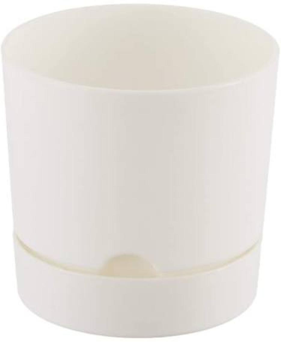 Poliwork Begonya 9 cm Tabaklı Saksı 0,5 lt