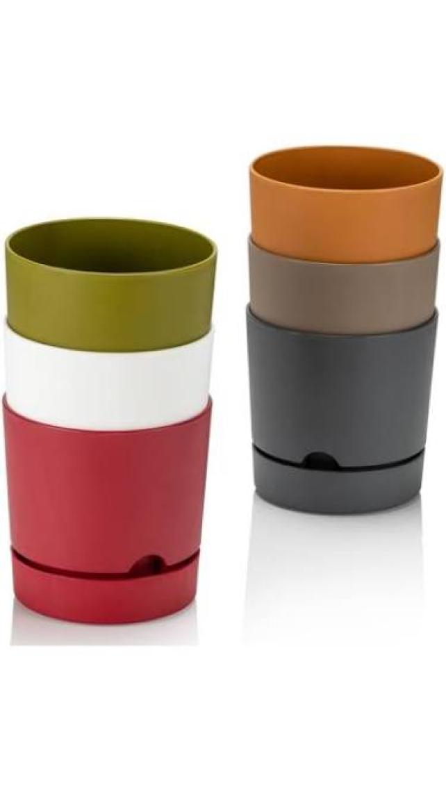Poliwork Begonya 9 cm Tabaklı Saksı 0,5 lt