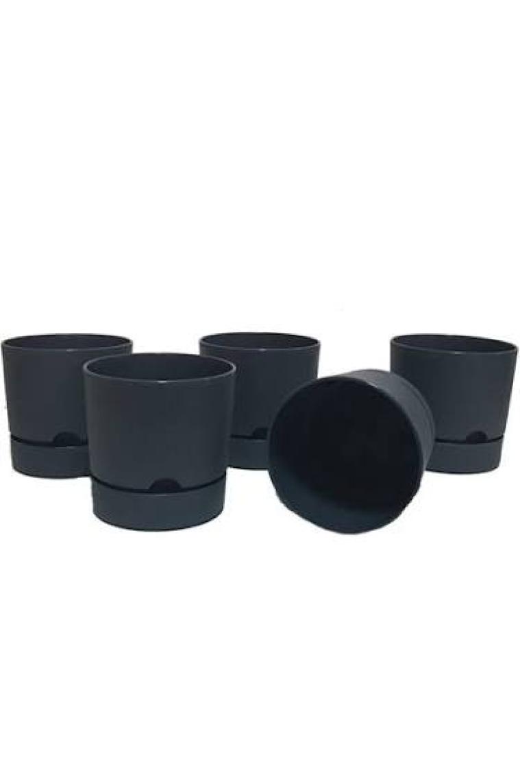 Poliwork Begonya 9 cm Tabaklı Saksı 0,5 lt