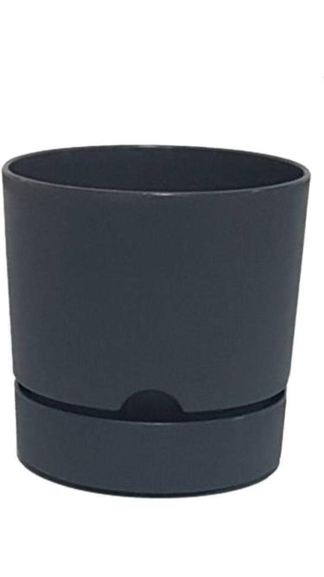 Poliwork Begonya 9 cm Tabaklı Saksı 0,5 lt