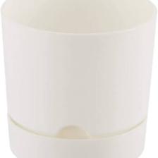 Poliwork Begonya 9 cm Tabaklı Saksı 0,5 lt