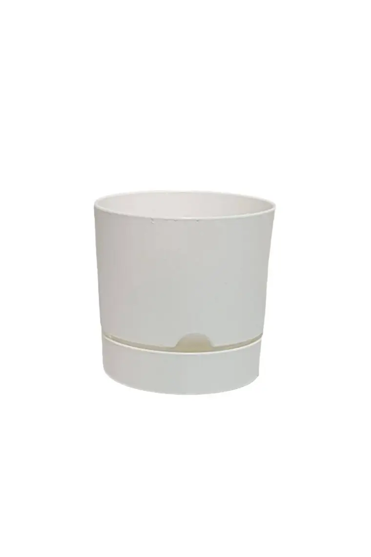 Poliwork Begonya 18 cm Tabaklı Saksı 3,3 lt