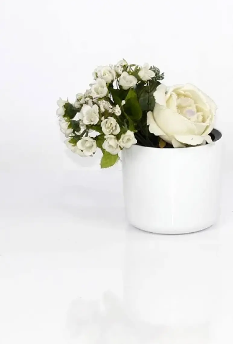 Poliwork Mimoza 11 cm Saksı 0,8 lt