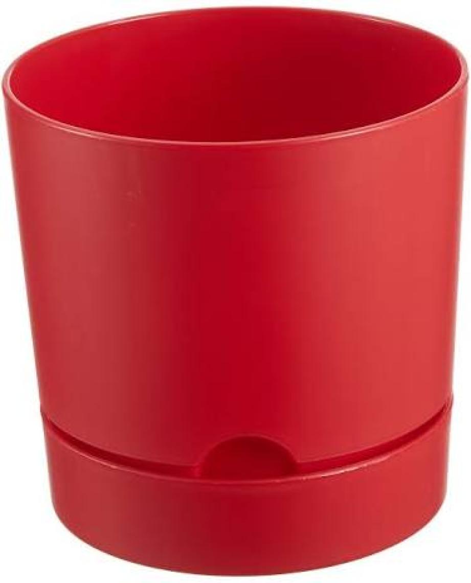 Poliwork Begonya 15 cm Tabaklı Saksı 1,8 lt