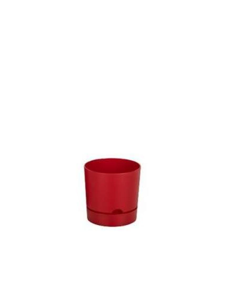 Poliwork Begonya 15 cm Tabaklı Saksı 1,8 lt