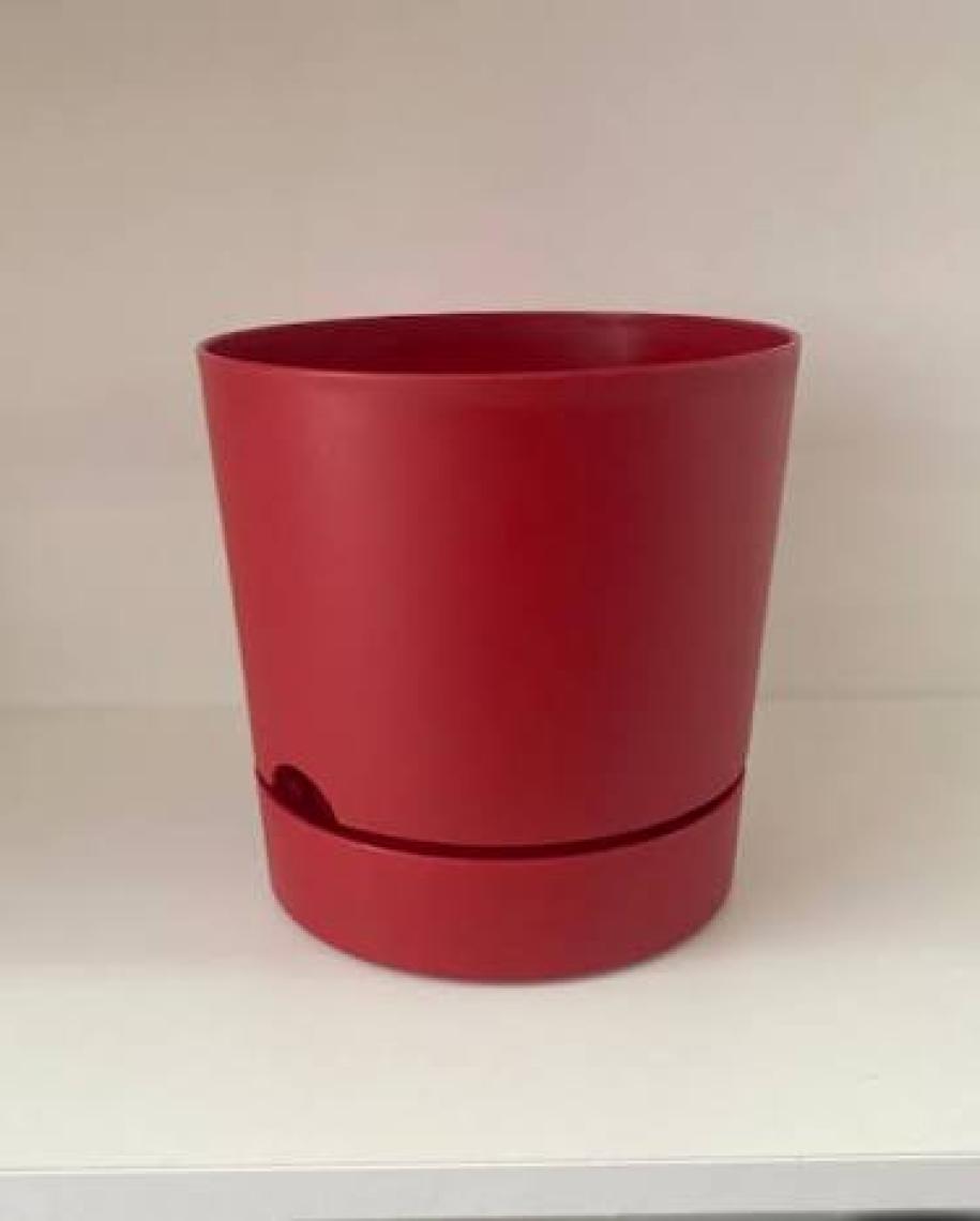 Poliwork Begonya 15 cm Tabaklı Saksı 1,8 lt