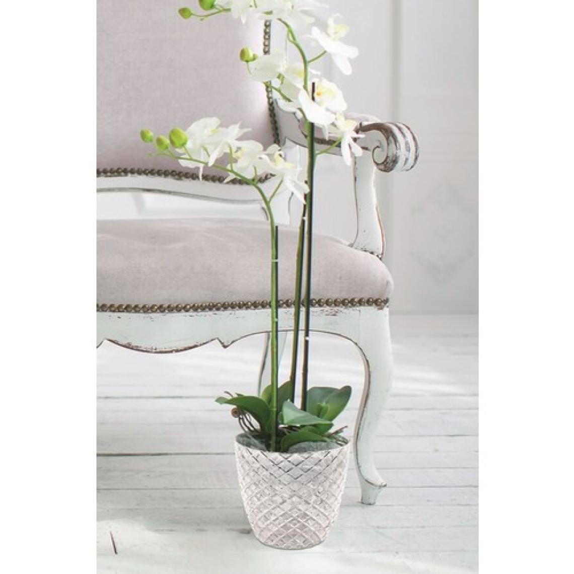 Sinerji Shop Yakamoz Orkide Saksı 17,7X15,6 cm 2.40 Lt
