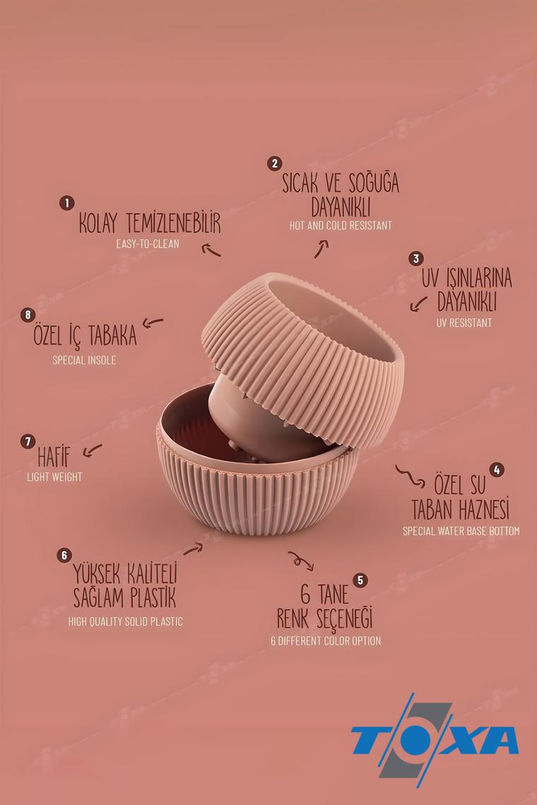 Omnipazar Krs Mercan Dekoratif Kaktüs Sukulent Plastik Saksı Takımı 3'lü Set Soft Pembe