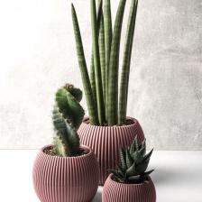 Omnipazar Krs Mercan Dekoratif Kaktüs Sukulent Plastik Saksı Takımı 3'lü Set Soft Pembe