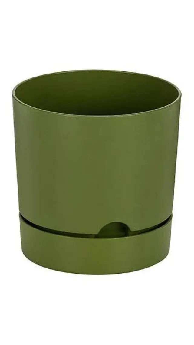 Poliwork Begonya 12 cm Tabaklı Saksı 1 lt