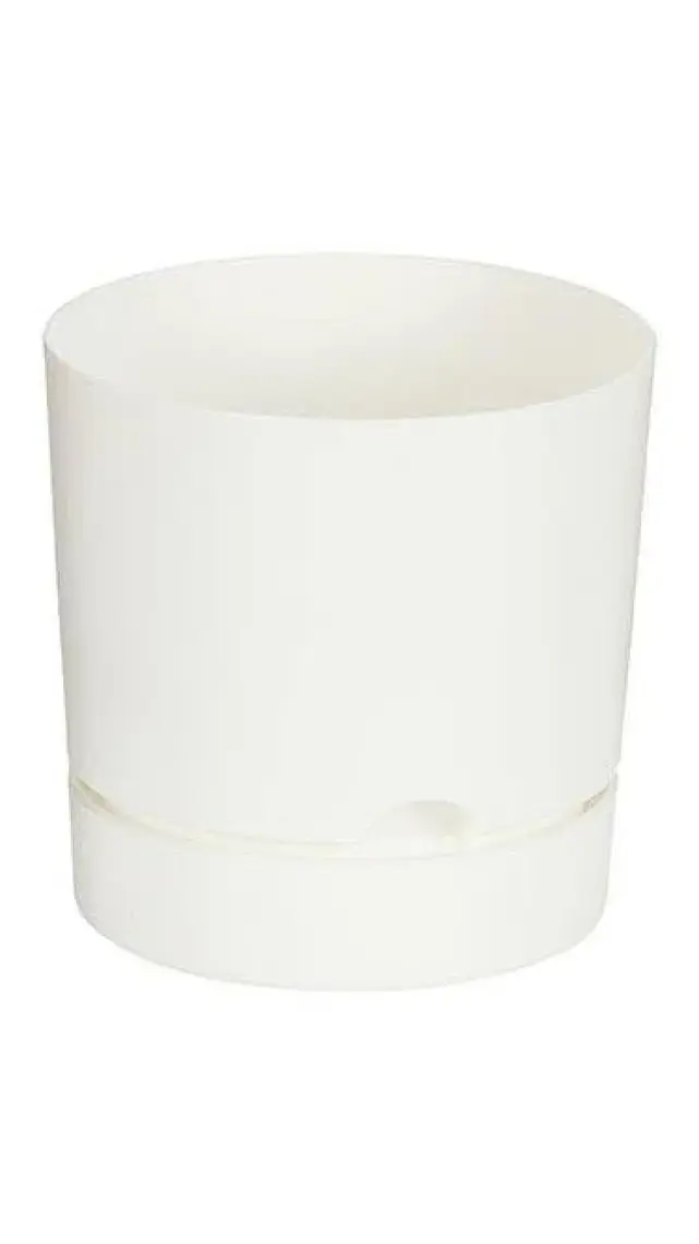 Poliwork Begonya 12 cm Tabaklı Saksı 1 lt