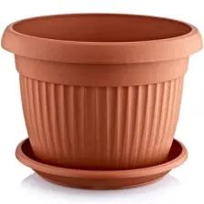 Holiday Botanik Yuvarlak Tabaklı Saksı