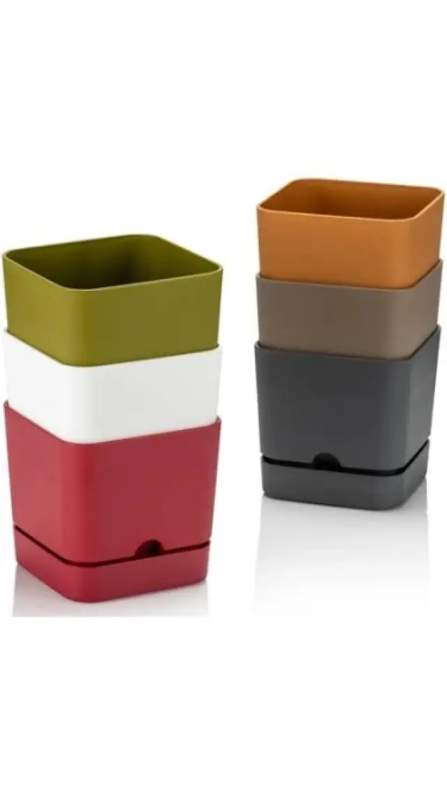 Poliwork Begonya Kare 16 cm Tabaklı Saksı 2,3 lt