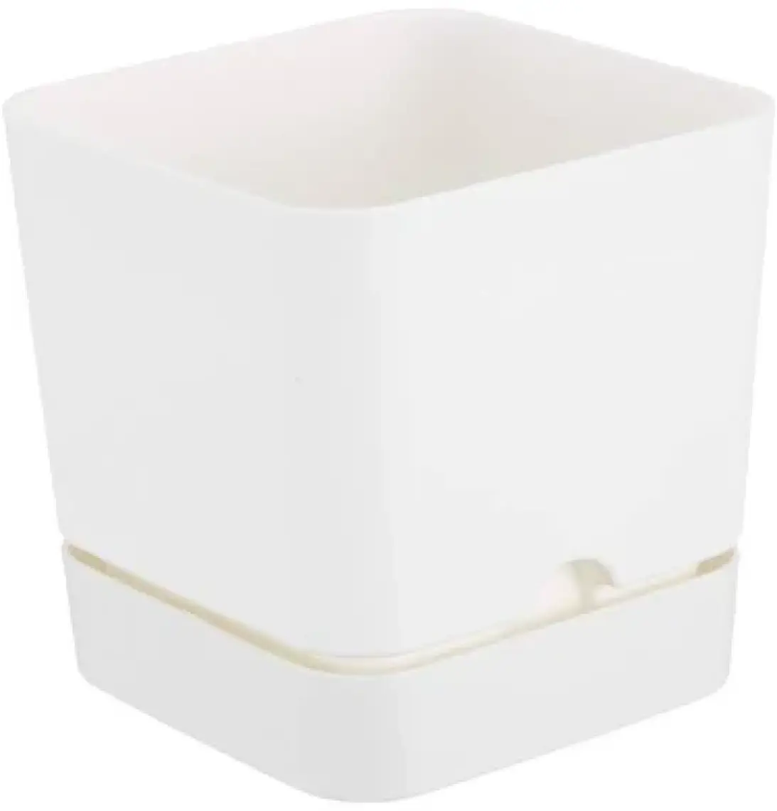 Poliwork Begonya Kare 16 cm Tabaklı Saksı 2,3 lt