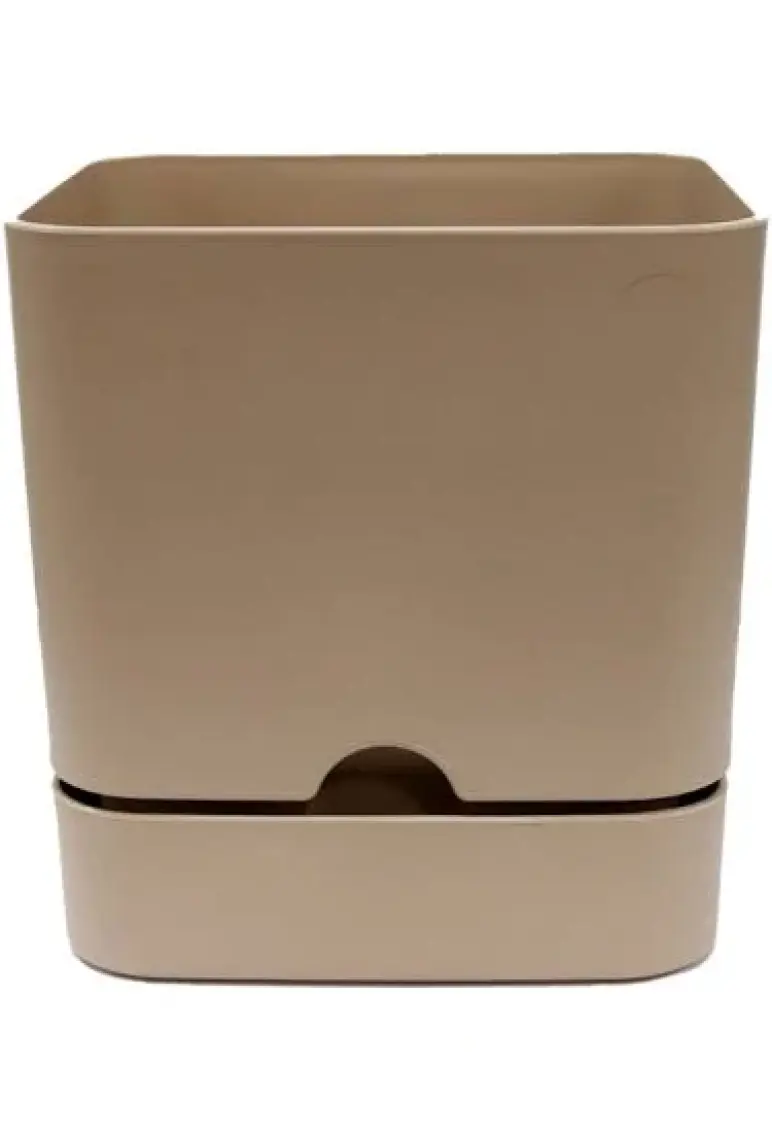 Poliwork Begonya Kare 16 cm Tabaklı Saksı 2,3 lt