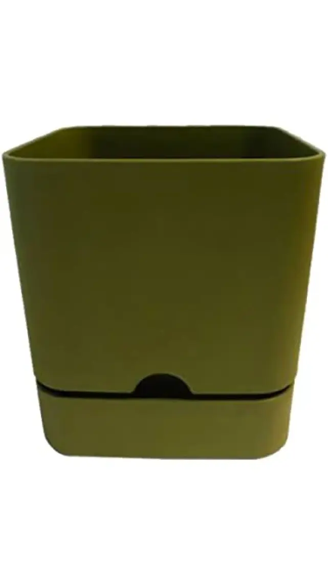 Poliwork Begonya Kare 16 cm Tabaklı Saksı 2,3 lt