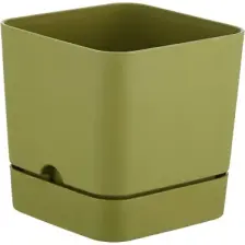 Poliwork Begonya Kare 16 cm Tabaklı Saksı 2,3 lt