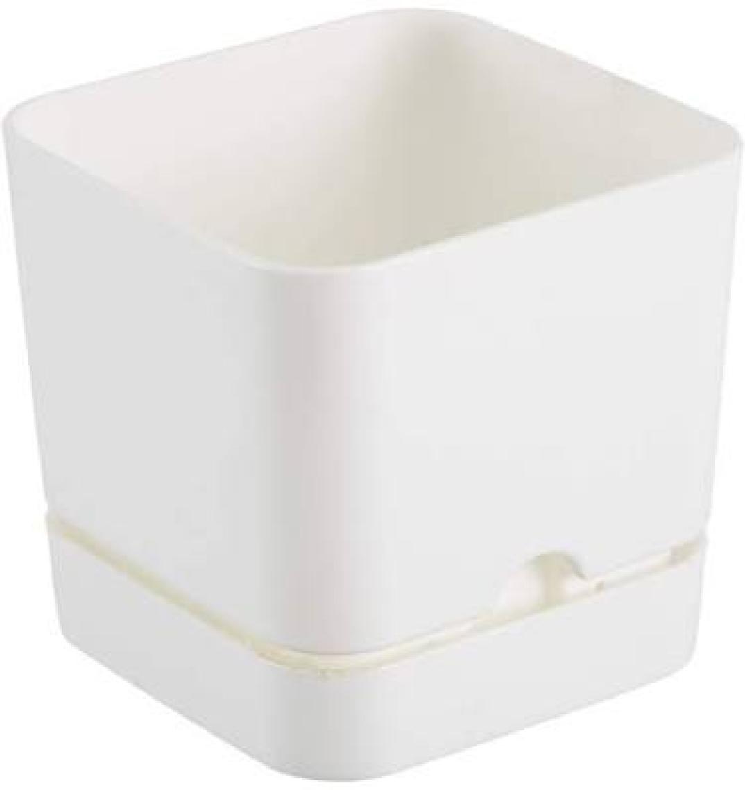 Poliwork Begonya Kare 13 cm Tabaklı Saksı 1,5 lt
