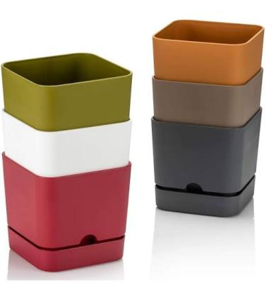 Poliwork Begonya Kare 13 cm Tabaklı Saksı 1,5 lt
