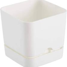 Poliwork Begonya Kare 13 cm Tabaklı Saksı 1,5 lt
