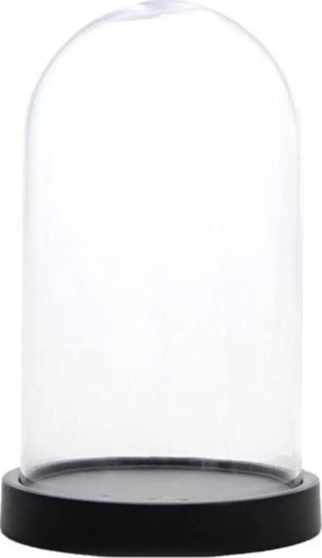 Kosida Mika Fanus, Çap 10CM Yükseklik 18CM
