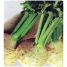 Arzuman Kök  Kereviz 10 Gram