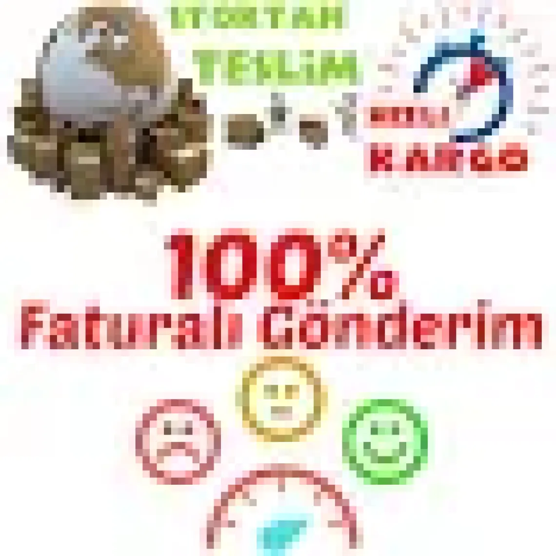 Miracle Tohum Swiss Giant Alacalı Karışık Hercai Menekşe Çiçeği (300 Tohum)