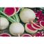 Arzuman Çin Turp Tohumu (Karpuz Turpu) 25 gr