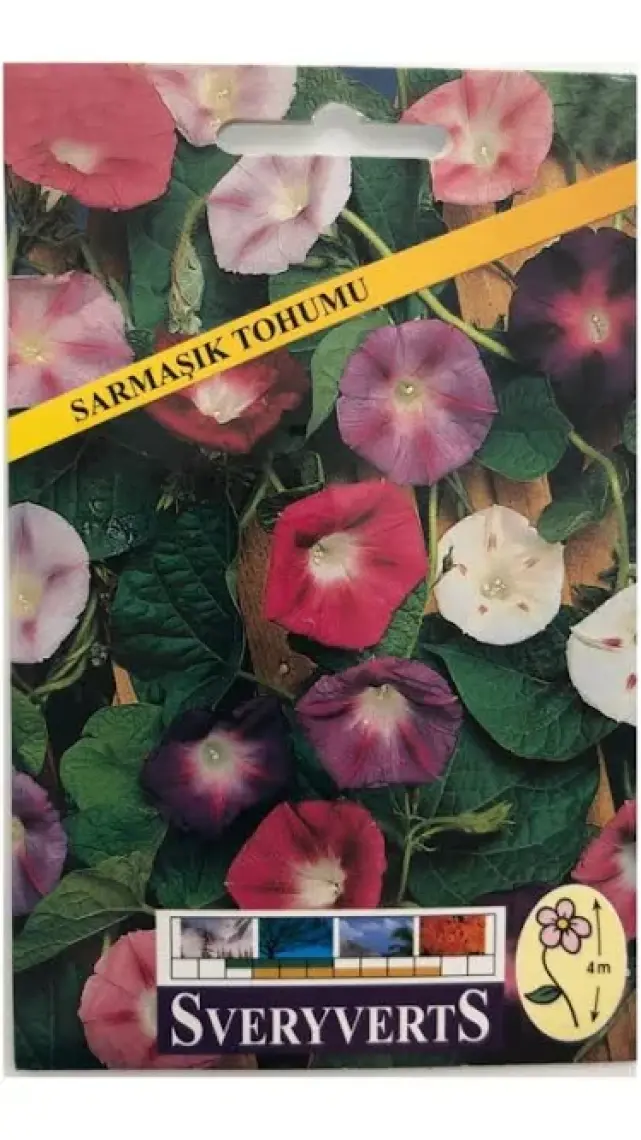 Sarmaşık Tohumu