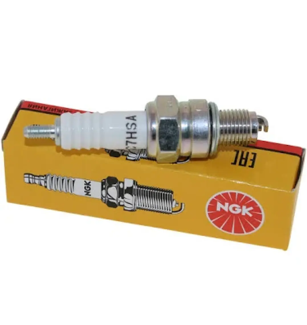 Ngk C7HSA Buji